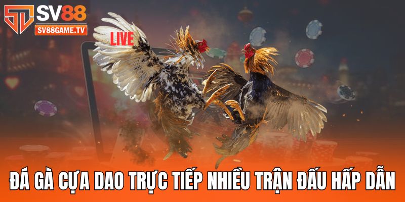 da-ga-cua-dao-truc-tiep-nhieu-tran-dau-hap-dan